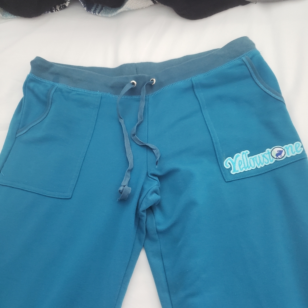 Rosio Teal Cotton Pants
